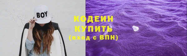 ПСИЛОЦИБИНОВЫЕ ГРИБЫ Абаза