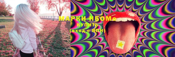 ПСИЛОЦИБИНОВЫЕ ГРИБЫ Абаза